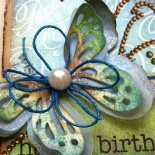 butterfly die cut from Spellbinders & a winner